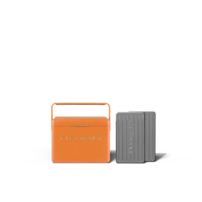 Mini Bar & Ice Bar Bundle / Orchard Orange