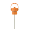 Field Bottle / Orchard Orange