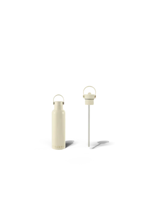 Cooler Box Set & Field Bottle / Safari White